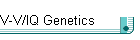 V-V/IQ Genetics